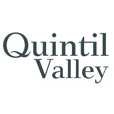 logo_qv